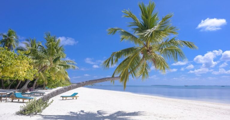 Embark On Your Next Trip With Confidence Using These Simple Travel Tips!